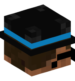 Minecraft head — People