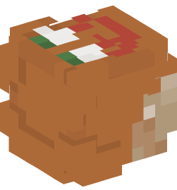 Minecraft head — People