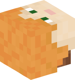 Minecraft head — People