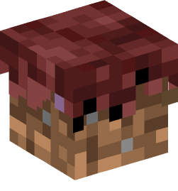 Minecraft head — Blocks