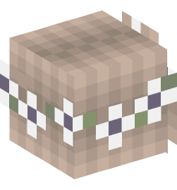 Minecraft head — People