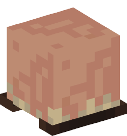 Minecraft head — Creatures