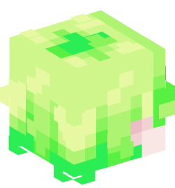 Minecraft head — People