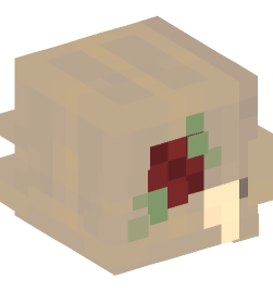 Minecraft head — People