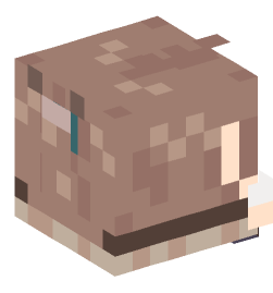 Minecraft head — Decor