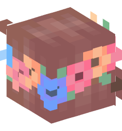 Minecraft head — People