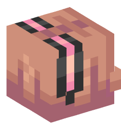 Minecraft head — People