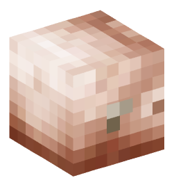 Minecraft head — Creatures