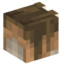 Minecraft head — Animals