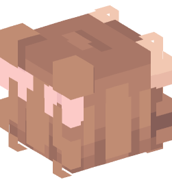 Minecraft head — People