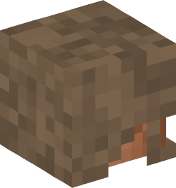 Minecraft head — People