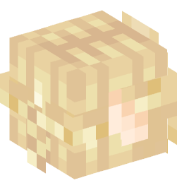 Minecraft head — People