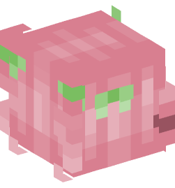 Minecraft head — People