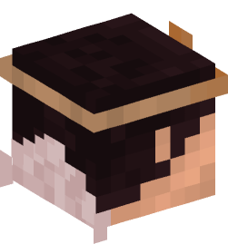 Minecraft head — People