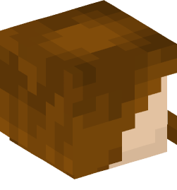 Minecraft head — People