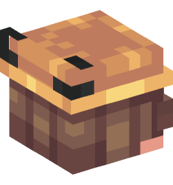 Minecraft head — People
