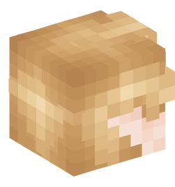 Minecraft head — Creatures