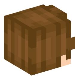 Minecraft head — People