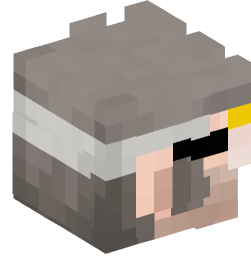 Minecraft head — People