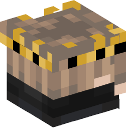 Minecraft head — Decor