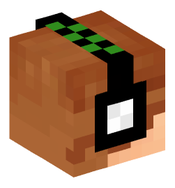 Minecraft head — People