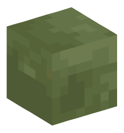 Minecraft head — Creatures