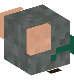 Minecraft head — Animals