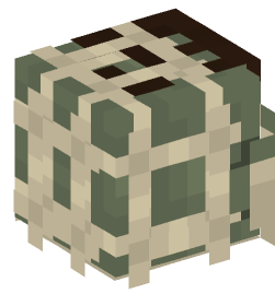 Minecraft head — People