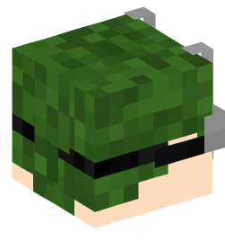 Minecraft head — People