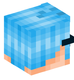 Minecraft head — People