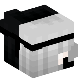 Minecraft head — People