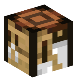 Minecraft head — Decor