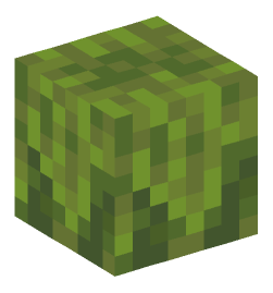 Minecraft head — Plants