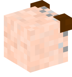 Minecraft head — Creatures