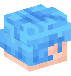 Minecraft head — People