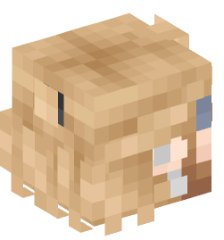 Minecraft head — People