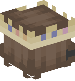 Minecraft head — People