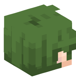 Minecraft head — People