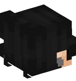 Minecraft head — People