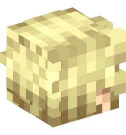 Minecraft head — People