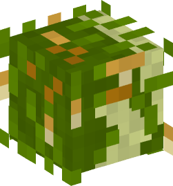 Minecraft head — Creatures