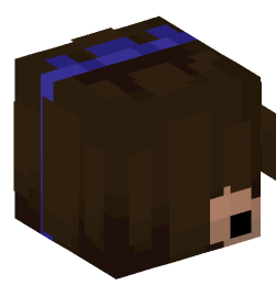 Minecraft head — People