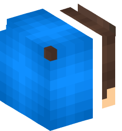 Minecraft head — People