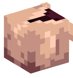 Minecraft head — Monsters