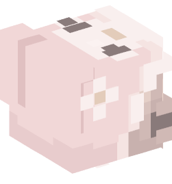 Minecraft head — People