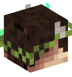 Minecraft head — Creatures