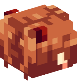 Minecraft head — People