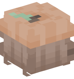 Minecraft head — People