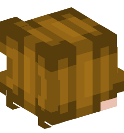 Minecraft head — People