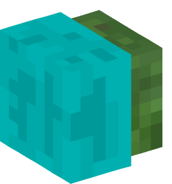 Minecraft head — Creatures